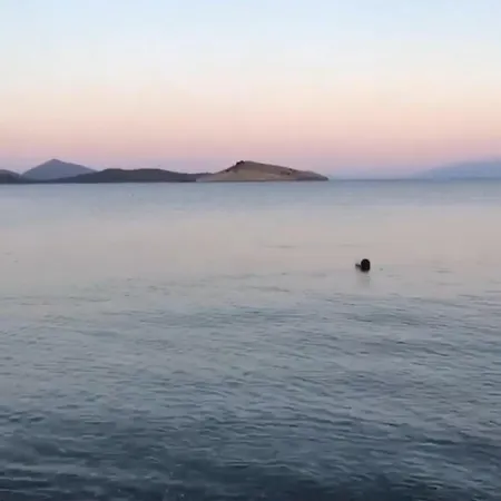 Atalay Lejlighed Bodrum